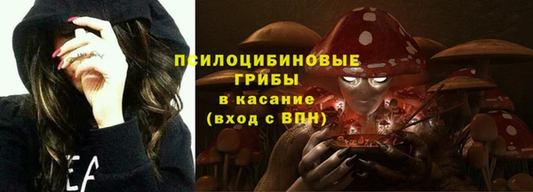 гидра Белокуриха
