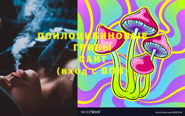 гидра Белокуриха