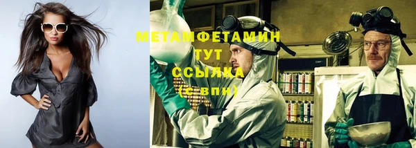 гидра Белокуриха