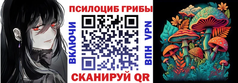 Галлюциногенные грибы Psilocybine cubensis  Купить  Боготол 