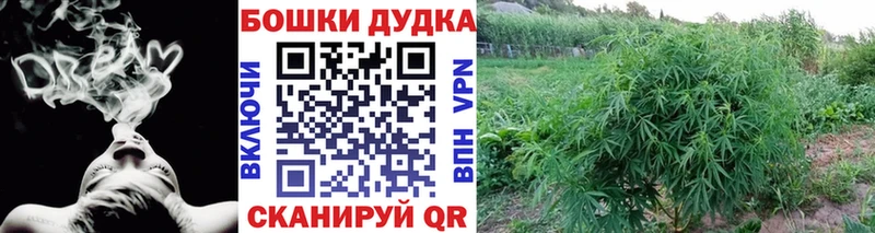 Купить закладки  Боготол  МАРИХУАНА VHQ 